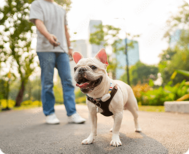 ESA Laws in Arkansas